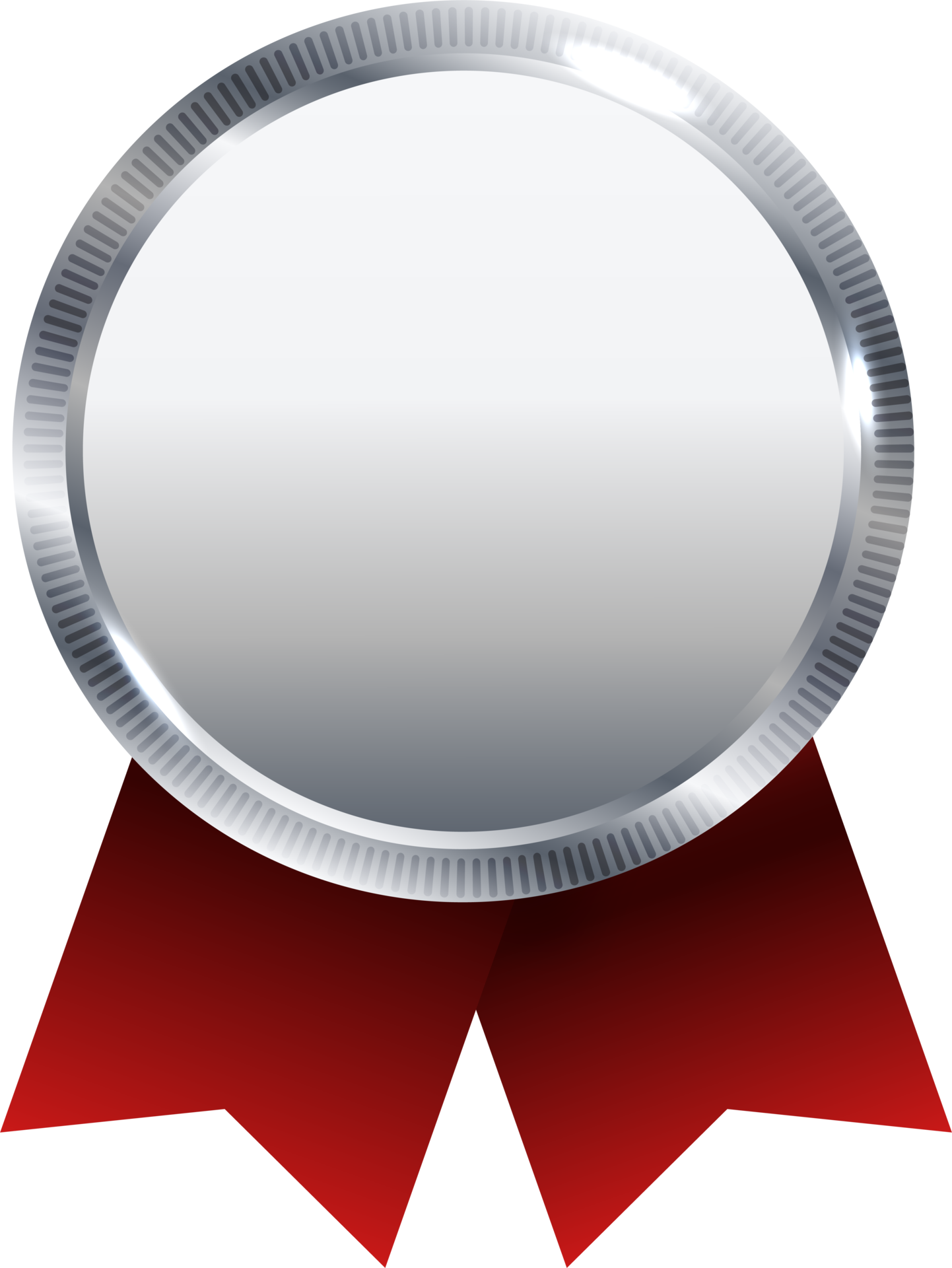 silver medal